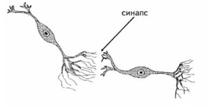 По-описателни картини можете да намерите в Google Images :)