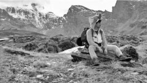 Elephant Hike 2013 - a fundraising hike across the Alps.