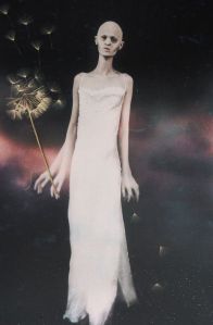 Photo: Victoria Zeoli